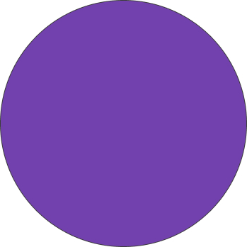 ベースカラーは紫（7241AD）です。