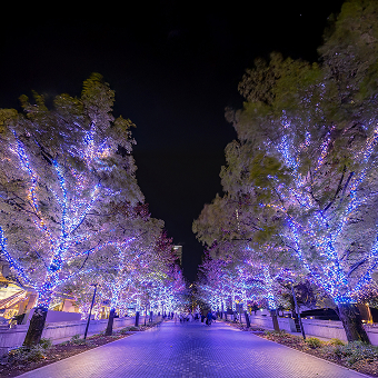 ファーストビューの絵コンテの1枚目です。