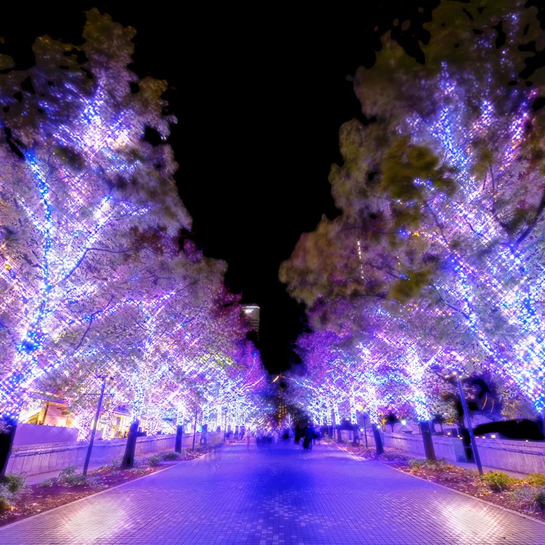 ファーストビューの絵コンテの2枚目です。